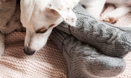 Comment éviter d’avoir les pieds froids au lit : 7 astuces pour se réchauffer