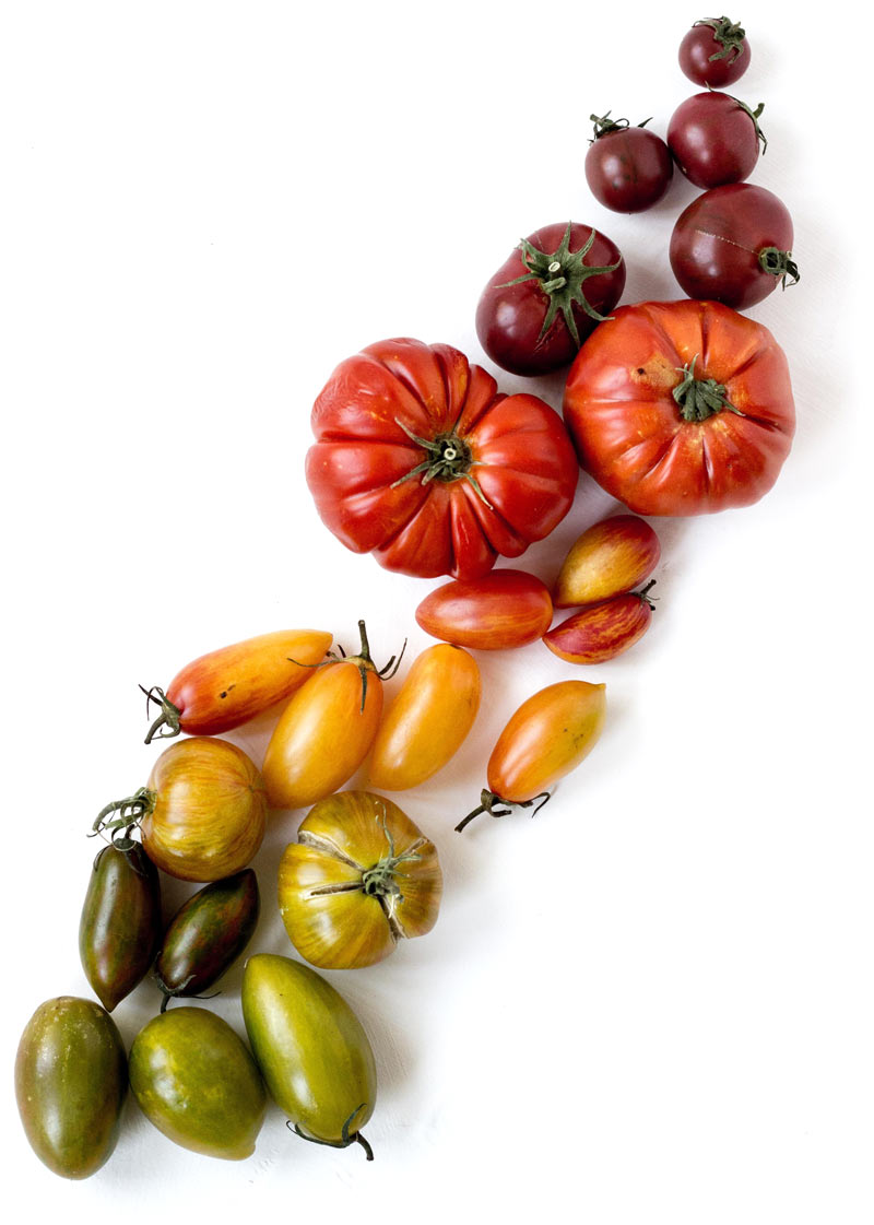 Alimentación y descanso