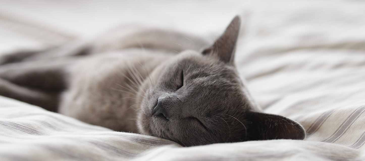 Descubre de qué lado es mejor dormir y por qué