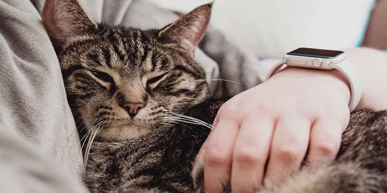 Cómo evitar que se te duerma el brazo al dormir en cucharita - Maxcolchon