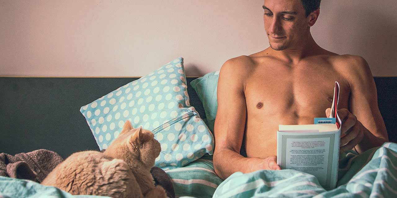 gato en colchón con hombre leyendo un libro