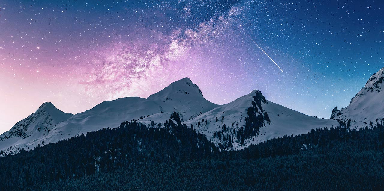 bosque nevado con montañas y cielo estrellado