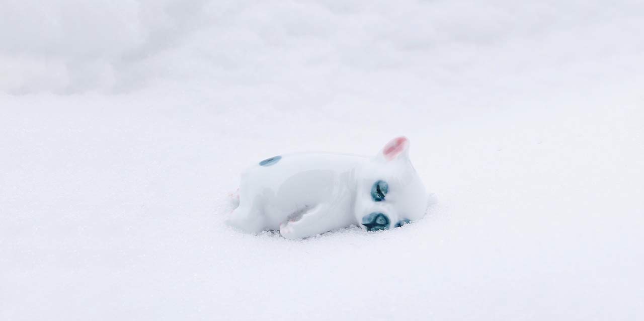 perro de porcelana en nieve