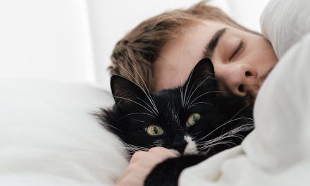 Qué significa soñar con gatos