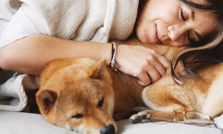 Os cães podem dormir fora de casa no inverno?
